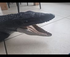 Jurrasic world mososaurus ocean toy