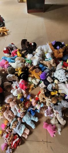 Soft Toys Open to Offers