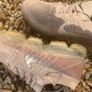 Get 1 of 1 Premium Flyknit Vapormax Image 4