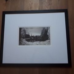 Framed Phoenix Park Photograph Large