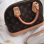 Louis Vuitton Image 2