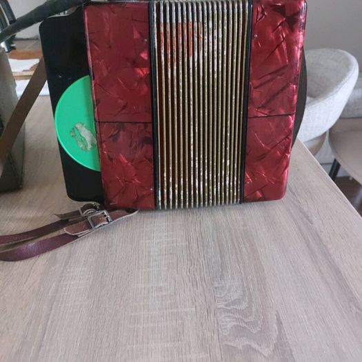Hohner Black dot Accordian
