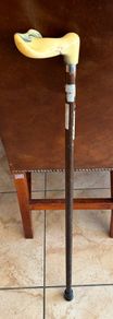 walking stick