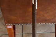 walking stick
