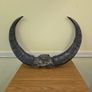 African Water Buffalo Horns Image 4