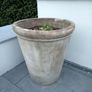 Garden pots Image 2