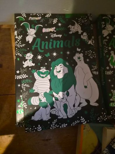 3 Disney Colouring books & markers