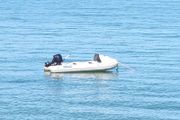 New Inflatable Wayler Mariner Vib 4 M