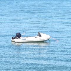 New Inflatable Wayler Mariner Vib 4 M