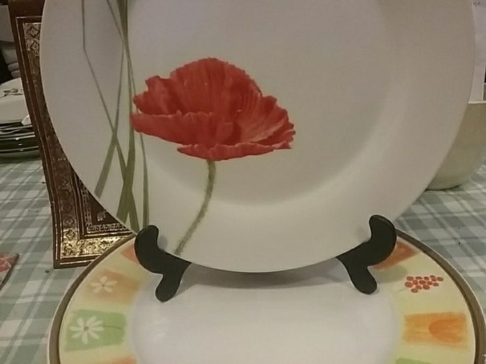 Three Mix & Match Dinner Plates