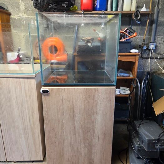 150l aquarium