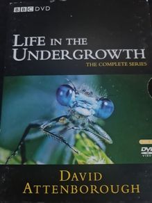 Life in the Undergrowth DVD