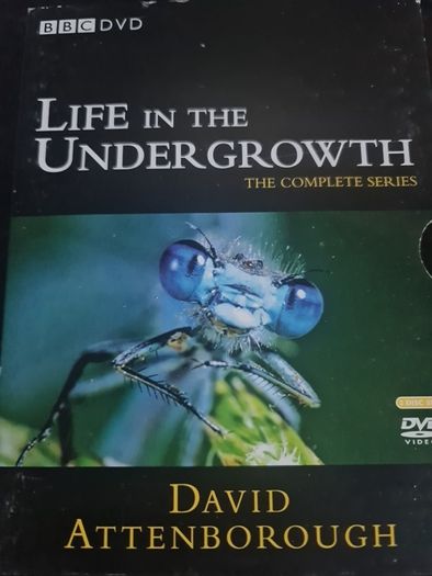 Life in the Undergrowth DVD