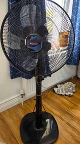 Fan