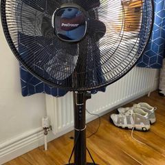 Fan