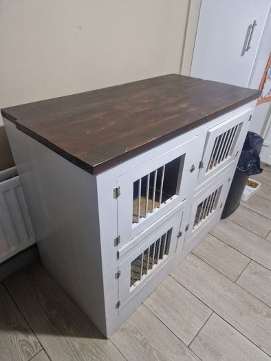 dog box