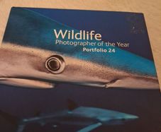 A wild life