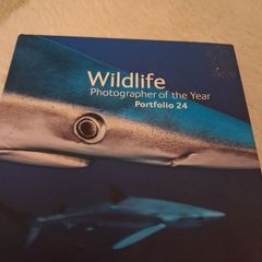 A wild life