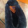 Women's kids slippers brand new size 3 Image 5