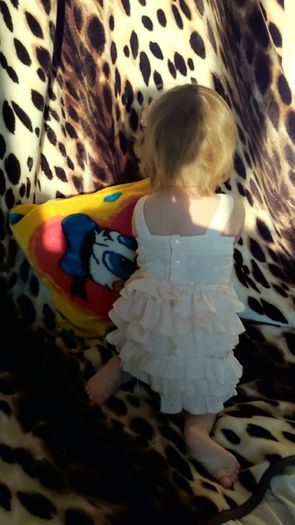 BNWT BABY OUTFIT shorts and top 74-90 cm