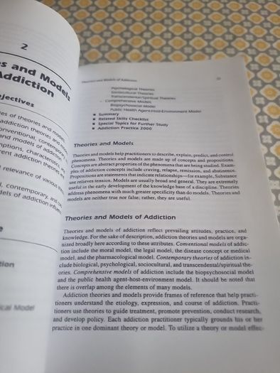 Addiction Treatment: Theory and Practice (Paperback)