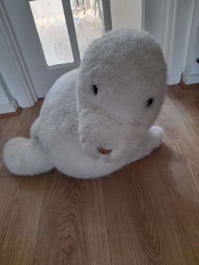 Giant Seal - Only 25