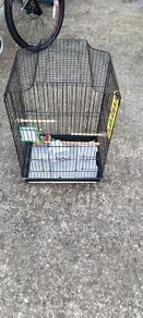 bird cage ( large)