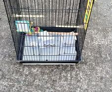 bird cage ( large)