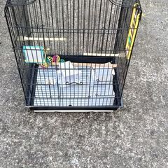 bird cage ( large)
