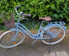 lady bike