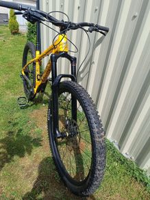 Nuke proof scout size large 29er