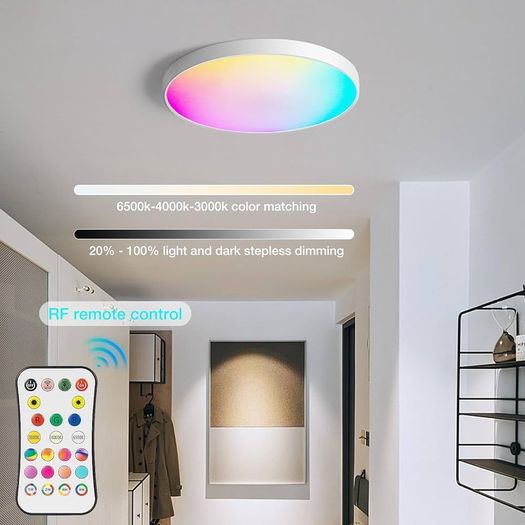 Bathroom Led Ceiling Light Smart - 24W RGBCW Color 3000-6500k Dimmable Bath Ceiling Lights Round with Remote Control Ceiling Lamp for Bedroom Hallway Kitchen