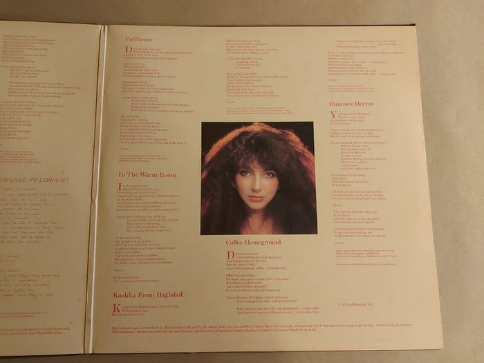 Kate Bush - Lionheart - Vinyl Record + Hundreds More
