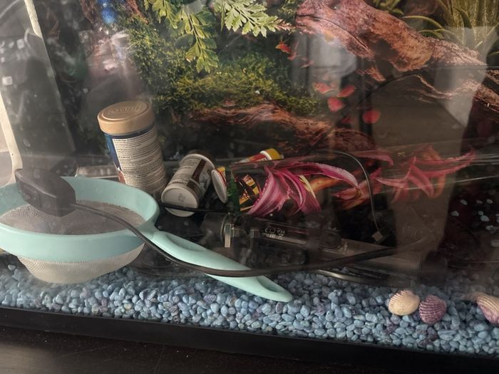 Beautiful fish tank