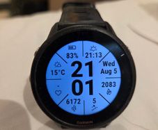 Garmin Forerunner 955 GPS Multisport Watch