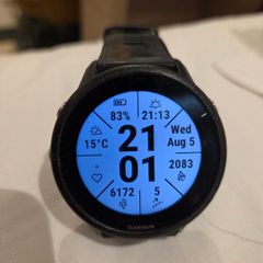Garmin Forerunner 955 GPS Multisport Watch