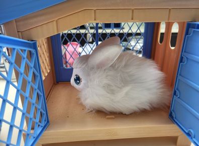 Pets Alive Rabbit Cage