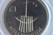 1 Punt Millennium collectable coin in case