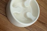 Slow Feed Bowl - Cat Dog Pet