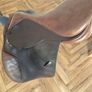 Pony Saddle 16" - Collegiate Image 4