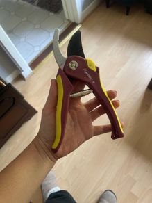 Secateurs