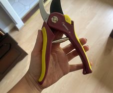 Secateurs