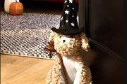 Halloween Decorations