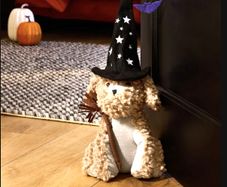 Halloween Decorations