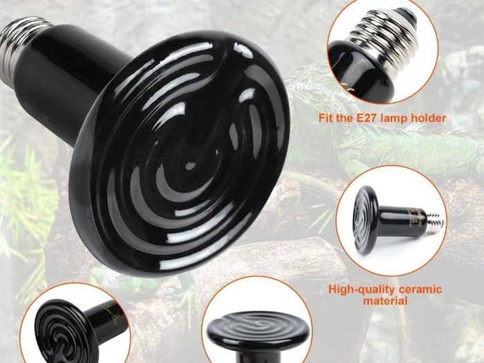 Pet Heat Lamp & Bulb