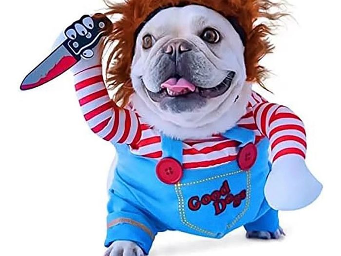 dog halloween costume