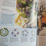 Fresh Flower Arranging (Creative Crafts for Creative Hands  Hardcover Image 7