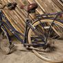 ladybike Image 5