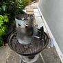 outdoor barbeque set Image 3
