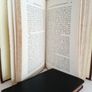 Introduction to the Study of Modern Forest Economy by John Croumbie Brown (GT904) Image 6